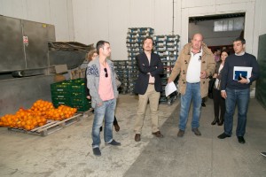 Cooperativa-Medianías 25